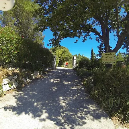 Chambres D'hotes Le Mas Des Vignes Dions