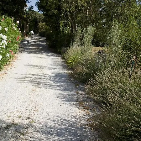 Guest house Chambres D'hotes Le Mas Des Vignes *